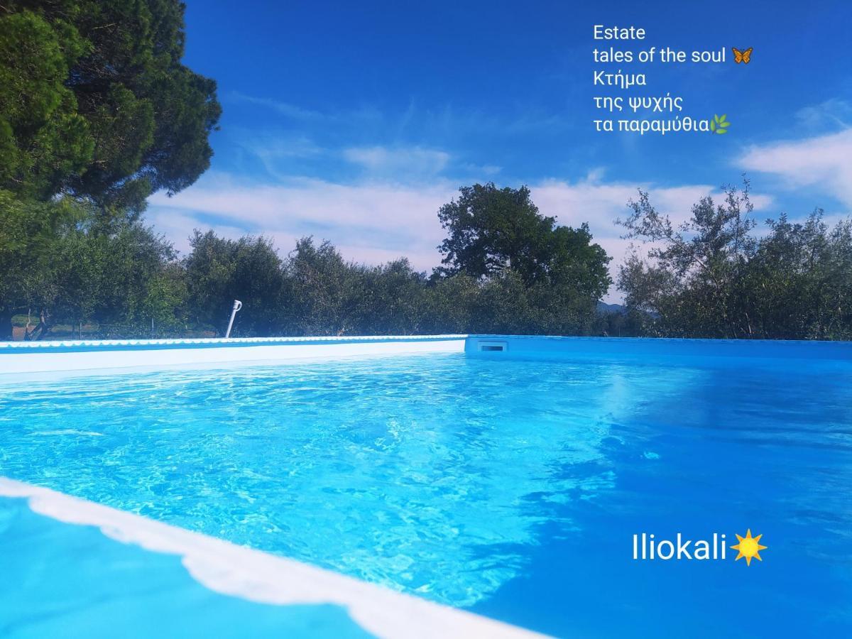 Bungalows With Private Pools "Tales Of The Soul - Της Ψυχής Τα Παραμύθια" Anemochori Екстер'єр фото